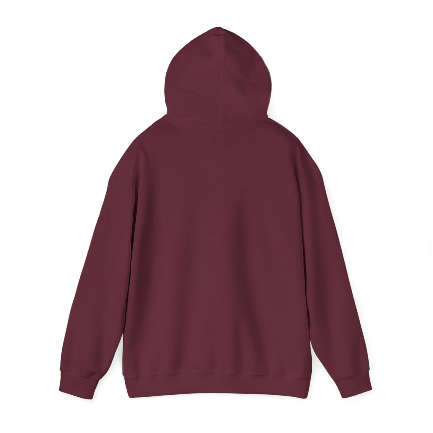 Semi-Retired Society Hoodie – Vintage Beach Retirement Sweatshirt