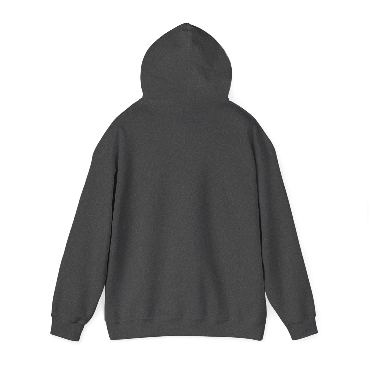 Semi-Retired Society Hoodie – Vintage Beach Retirement Sweatshirt